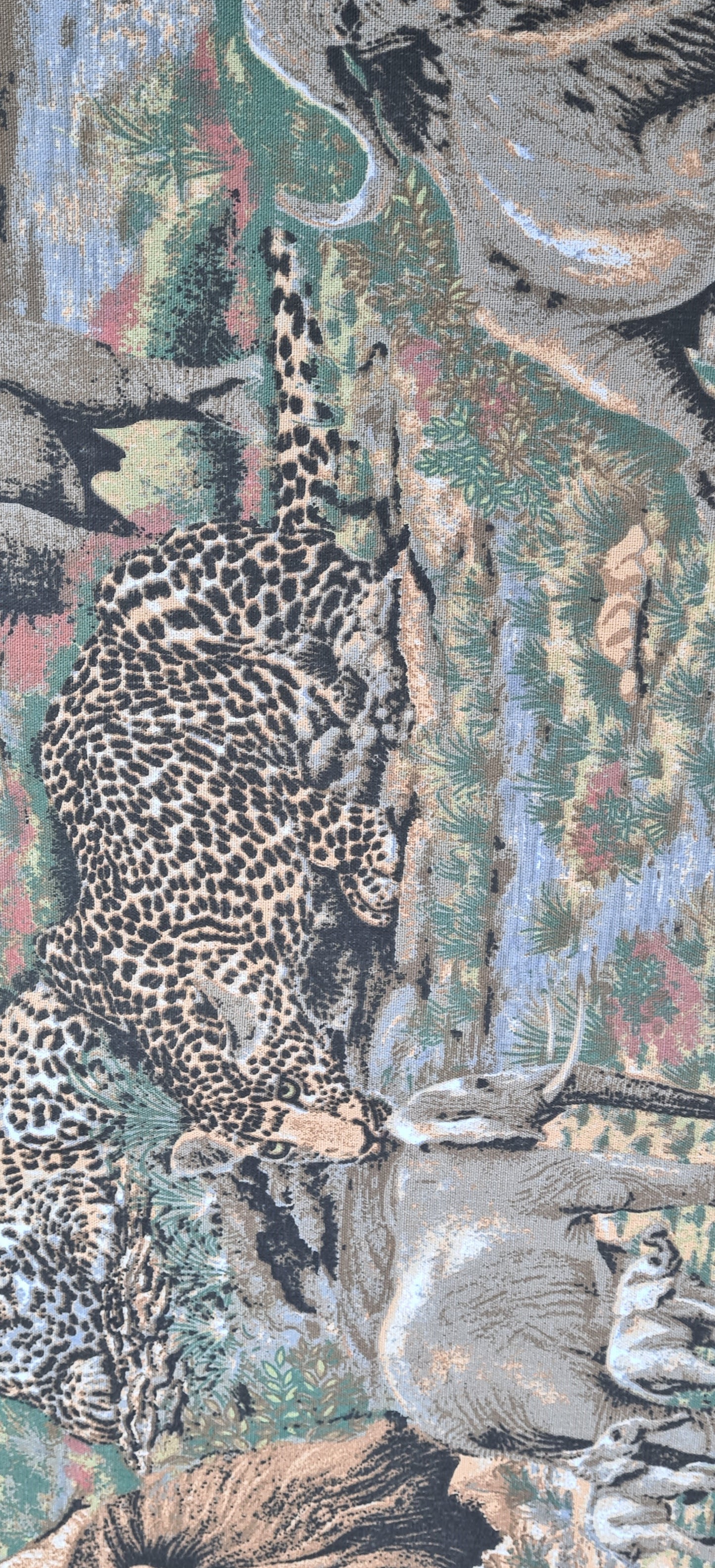 Iconic "Big 5" runner